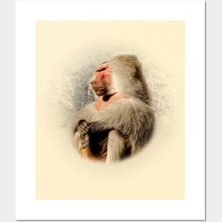 Baboon Posters and Art